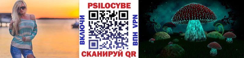 Купить где  Нововоронеж  Псилоцибиновые грибы MAGIC MUSHROOMS 